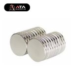 20×2mm Yuvarlak Neodyum Mıknatıs - Görsel 2